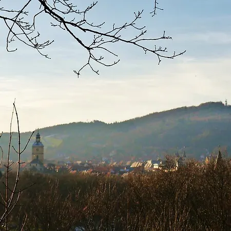 Haus-wolter Гослар